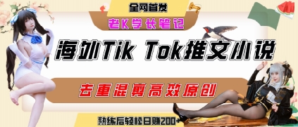 海外tiktok小说推文暴力项目，高停留率，高转化率，上手后一天搞顿饭钱不是问题-优优云网创