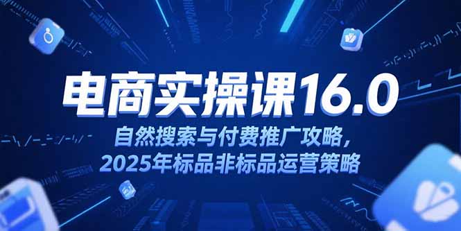 淘宝电商运营课16.0，自然搜索与付费推广攻略，2025年标品非标品运营策略-优优云网创