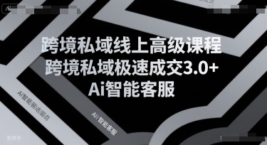 跨境私域线上高级课程，跨境私域极速成交3.0+Ai智能客服-优优云网创